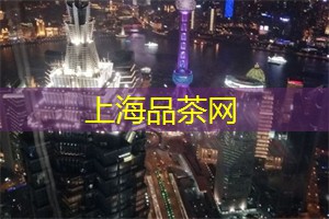 浪漫之夜：黄浦江上的双人游船