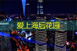 上海的地方美食与其背后的故事